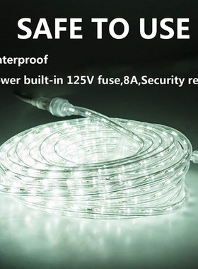 LED Rope Lights 8 Modes Dimmable String Lights 220v-110V Wat