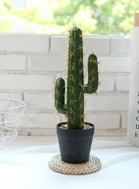 30/43cm Tropical Plants Large Artificial Cactus Tree Indoor