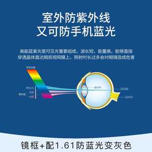 23档双梁大j框透明防蓝光抗辐射眼镜近视女复古个性 板材平光眼