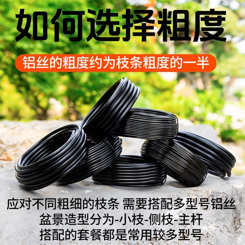 盆景造型铝丝蟠扎定型专用铝丝线盘扎用园艺绑扎丝园林吕铝条铝线,鲜花速递/花卉仿真/绿植园艺,其它园艺用品,淘宝优惠券,粉丝福利购,淘宝优惠卷