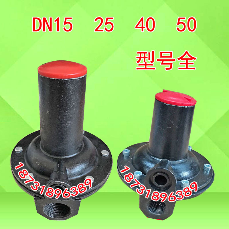 燃气安全放散阀RAF天然气超压泄气阀DN15 25 40 50 锅炉专业保护