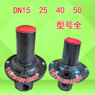 燃气安全放散阀RAF天然气超压泄气阀DN15 25 40 50 锅炉专业保护