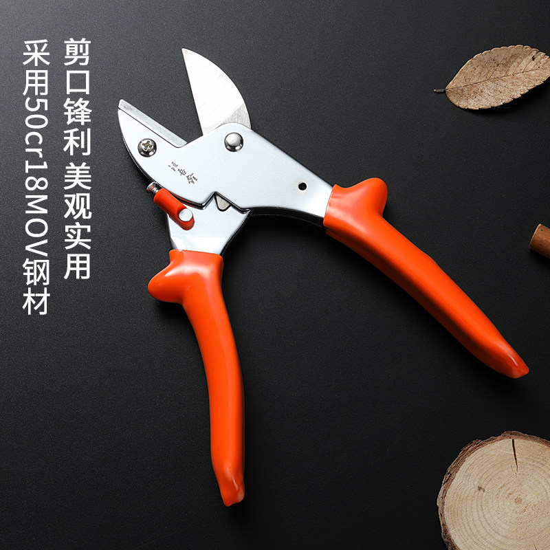 汪吾铨剪刀修枝剪园艺剪修树枝果树剪刀粗枝剪大力省力园林强力剪