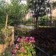 爬藤架子户外庭院花园铁艺栅栏支架铁线莲植物攀爬网花架 蔷薇月季