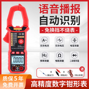 智能語音鉗形表TS18全自動防燒鉗流表高精度數字電工萬用表傻瓜式