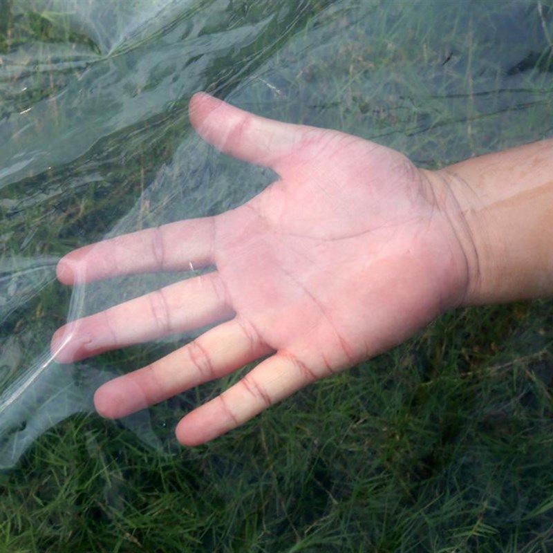 2345米宽塑料薄膜透明加厚大棚膜 农用白膜防水塑料布保温薄膜纸,农机/农具/农膜,农用薄膜,淘宝优惠券,粉丝福利购,淘宝优惠卷