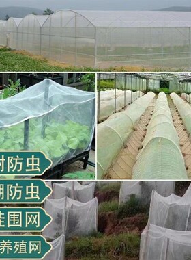 防虫网种菜果树防虫网纱网种菜专用网果树防乌网草莓防鸟罩防蝇网