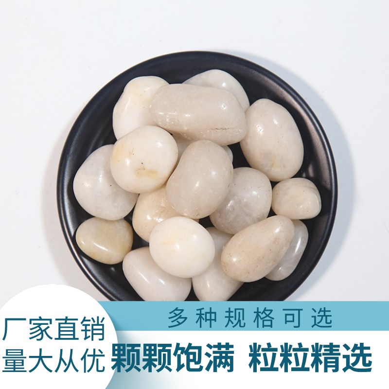 上海抛光白色石头雨花石白石子鹅卵石园林造景装修石头鱼缸装修