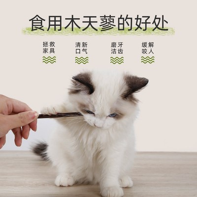 猫咪木自蓼成幼猫洁齿磨牙棒天嗨解闷猫草薄咪逗猫棒玩具猫荷零食