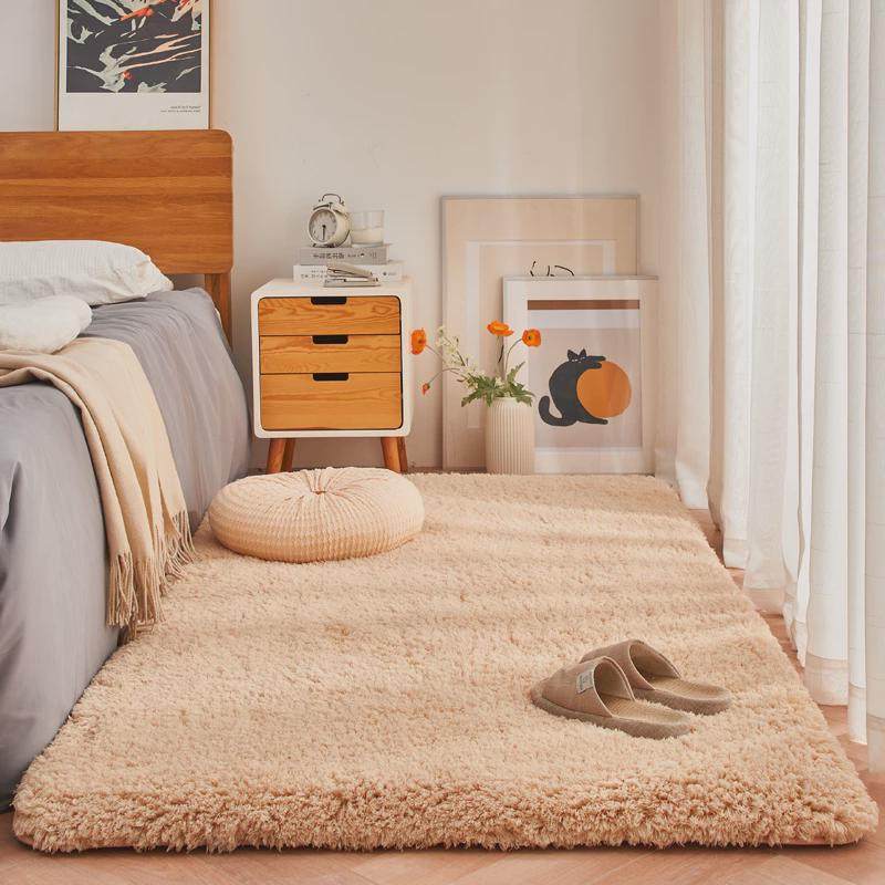 加厚房间毛绒床边毯满铺卧室床前地毯女孩白色飘窗垫学生宿舍新品,居家布艺,床边毯,淘宝优惠券,粉丝福利购,淘宝优惠卷