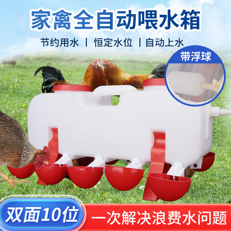 养鸡用自动饮水器家禽鸽子鹌鹑饮水碗喝水碗自动喂水器鸡水桶水碗
