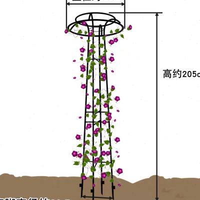 小众高货伞形花架家庭园艺铁艺铁架户外爬藤架室外花园花架铁线莲