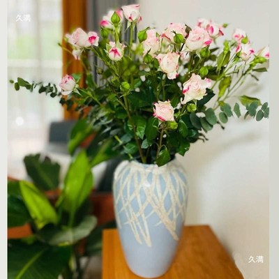 尤加利果花瓶陶瓷插花水养鲜花样板间插尤加利果花瓶橱窗