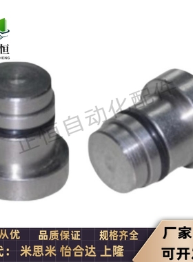 直线导轨用定位销LLT3.5 LLT5 LLTS5偏心销ICE11-T5不锈钢轴效直