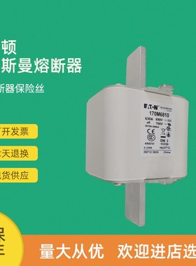 全新快速熔断器保险170M6889 170M6890 170M6891 170M6892D