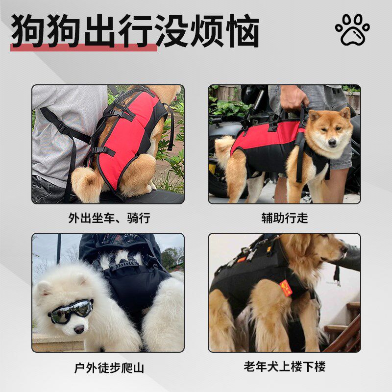 狗狗坐电动车外出神器大狗骑摩托宠物背包外出双肩便携包背带固定