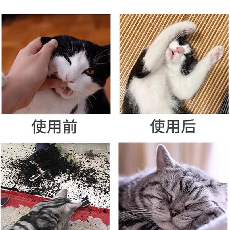 速发猫咪镇定剂安抚宠物狗情绪舒缓剂救助流浪猫安眠镇定快速睡觉