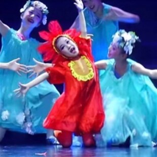 第十一届小荷风采我们的祖国是花园儿童舞蹈演出服小花朵表演服装