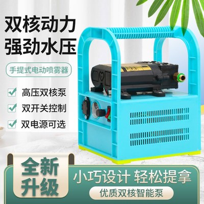 农用充电式手提式电动喷雾器果树打药机多功能抽水泵浇菜洗车神器