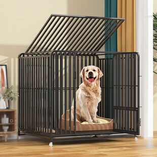 狗笼子大型中型犬室内带厕所分离加粗宠物笼O金毛拉布拉多家用狗