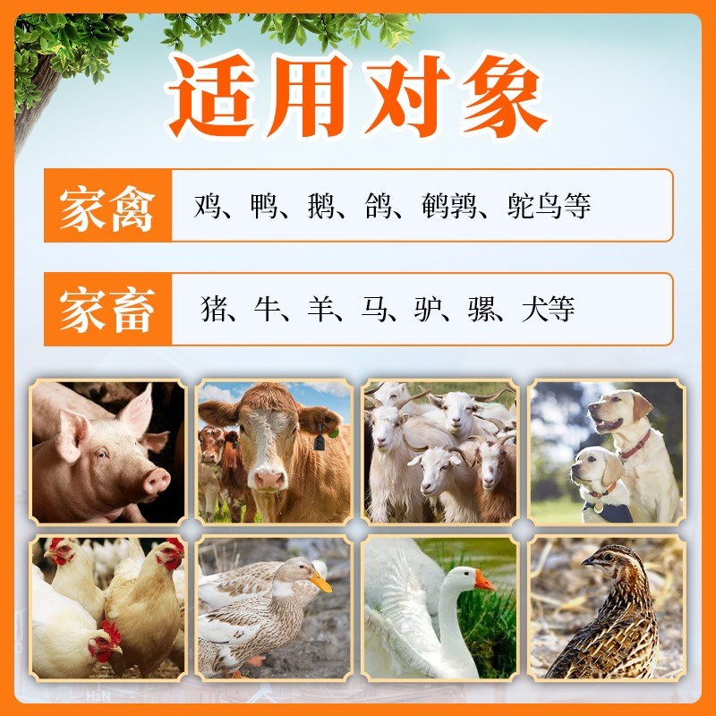 兽用加酶益生素菌猪牛羊鸡鸭鹅犬狗兔鸽鹌鹑调理肠胃平.衡菌群拉