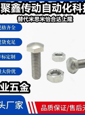 STBBS4 5 6 8 10 12 16-30~80前端R型调整螺栓组件 定位螺栓PBE36