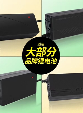 比德文适用电动车充电器电瓶车48V12A60V20A72V30a通用国标小公插