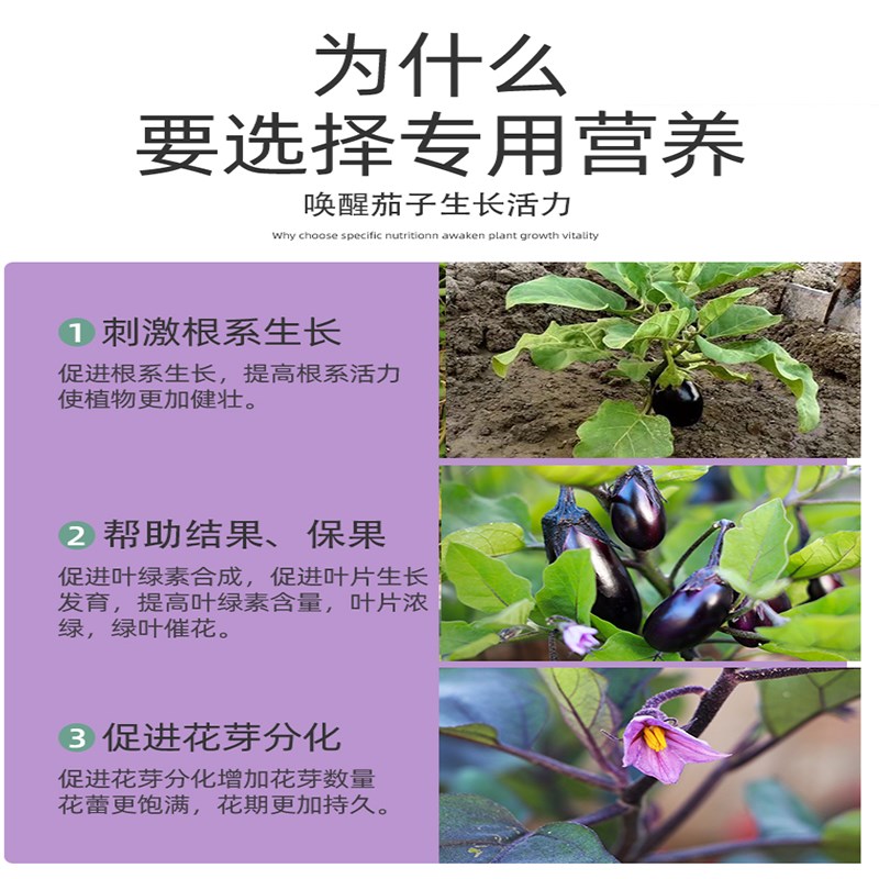 茄子肥料茄子专用肥复合肥番茄黄瓜辣椒蔬菜开花结果种不只蕃茄