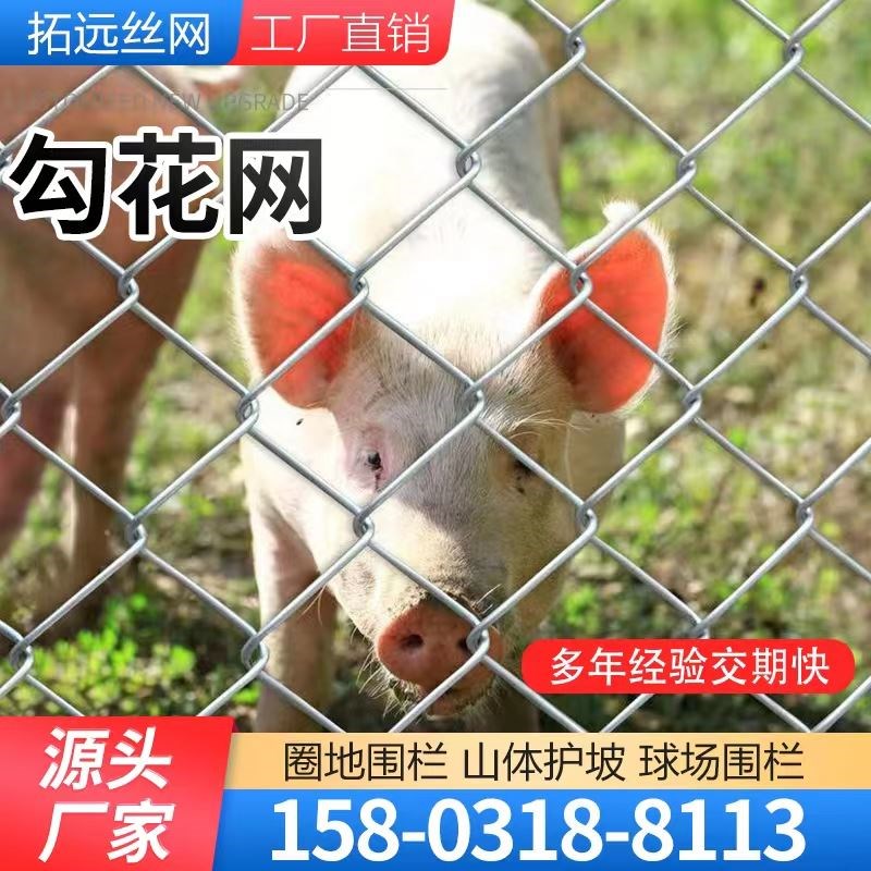 养殖网果园钢丝网圈山地围栏菱形网格勾花网护栏热镀锌铁丝网