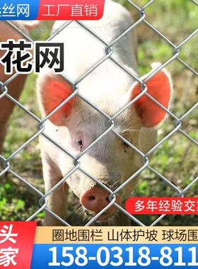 养殖网果园钢丝网圈山地围栏菱形网格勾花网护栏热镀锌铁丝网