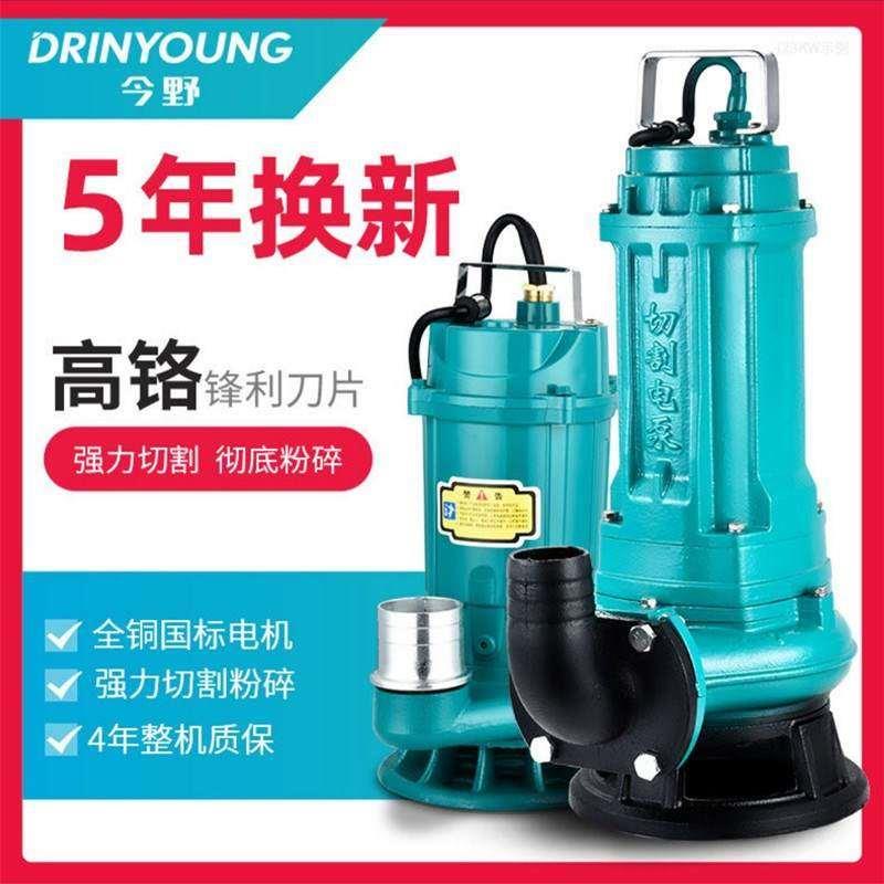 功能220V100W水位扬程家用高污E水泵铜芯低灌溉潜水泵泵抽水浇水