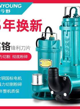 功能220V100W水位扬程家用高污E水泵铜芯低灌溉潜水泵泵抽水浇水