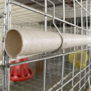 养殖鸡笼食槽勾钢线勾水线固定勾卡地暖管挂钩笼门弹簧片簧鸡用品