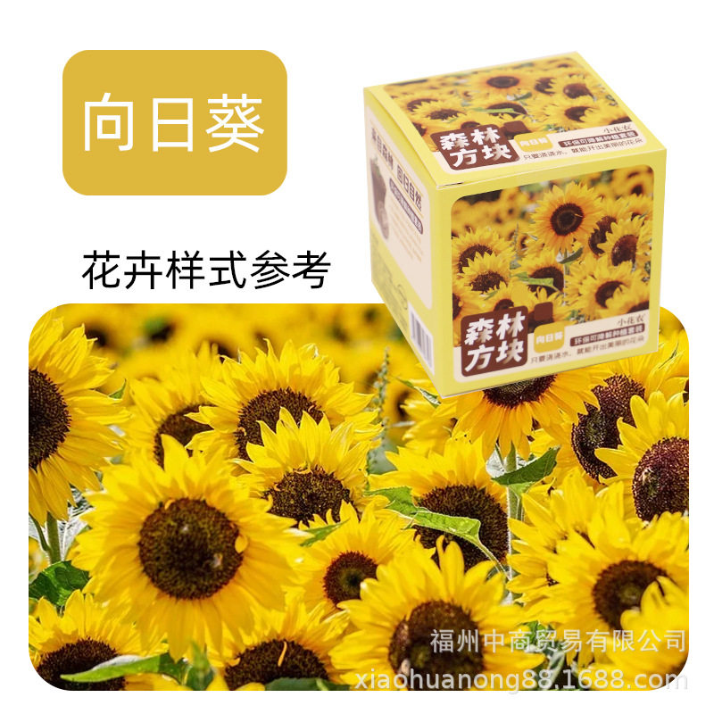 现货儿童种植盆栽幼儿园观察植物生长花农diy发芽迷你小学生自种