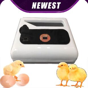 Eggs 网红Incubator Machine Incubator Brooder Hatchery