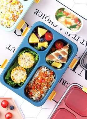 Portable Outdoor Bento box japanese style food storage conta