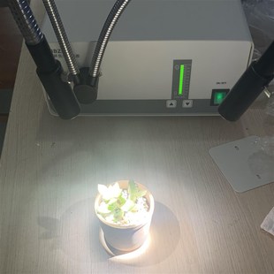 BBZM-I氙灯光源 光催化反应全波段可见光灯  模拟太阳光 高速摄影