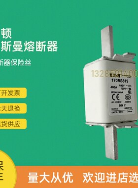 全新快速熔断器保险170M3817 170M3817D 170M3818 170M3818D