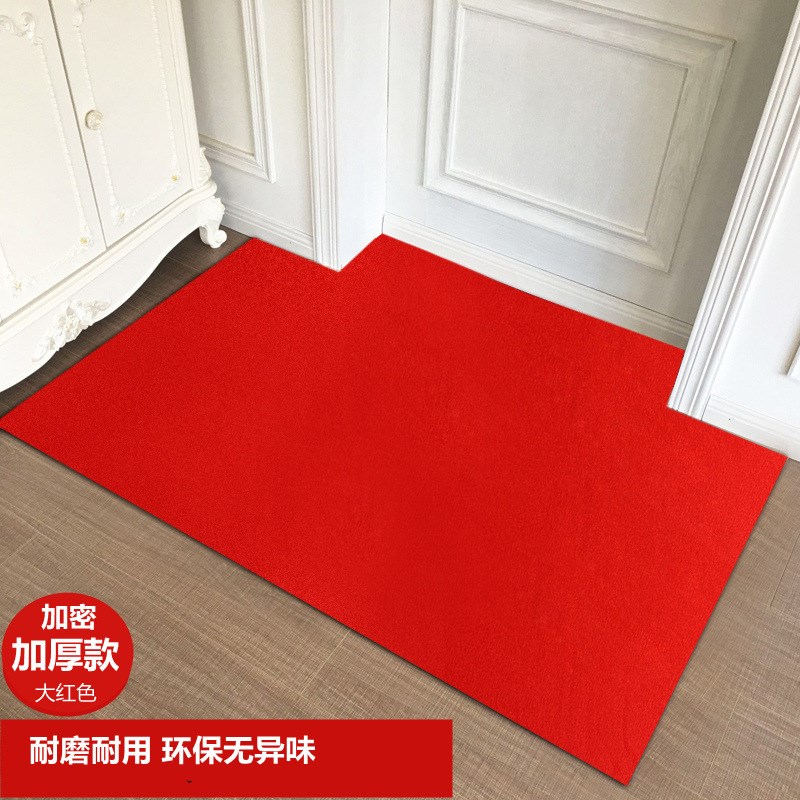 J6DA进门超薄地垫门垫脚垫子入户地垫玄关N门厅门前家用地毯可裁