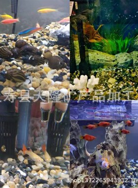 溪流石水族鱼缸底沙装饰造景养晒台原生溪流砂盆栽铺面庭院铺路石
