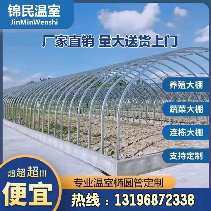 大棚钢管骨架农业蔬菜种植育苗草莓温室养殖椭圆管连体大棚全套
