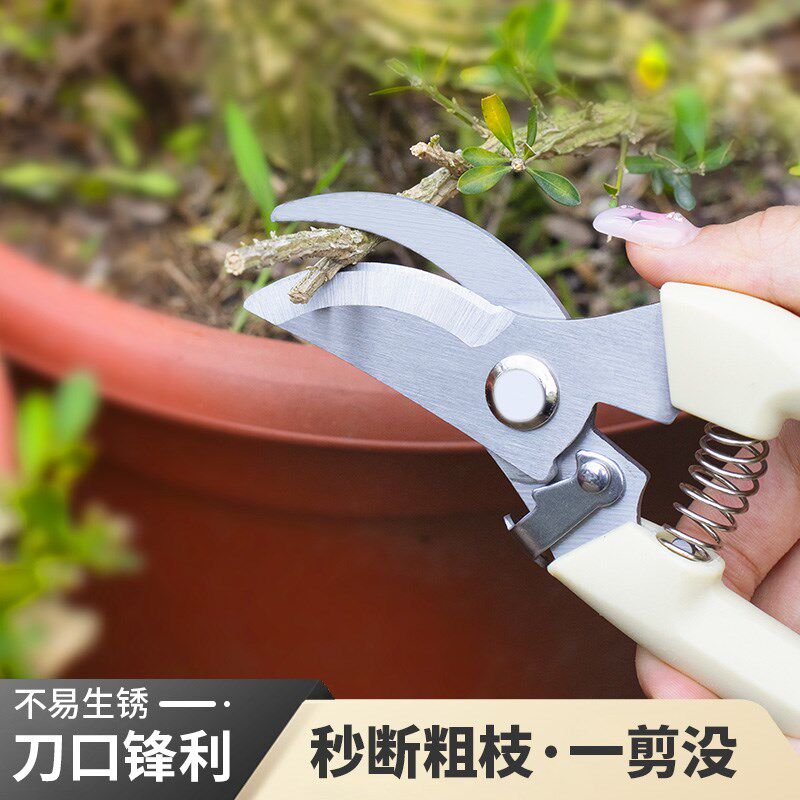速发果树修枝粗枝剪刀园艺园林修花枝剪家用强力花剪子神器剪枝剪