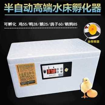 新品新款智能孵化器小型家用孵化机全自动智能鸡鸭K鹅鸽蛋保温品