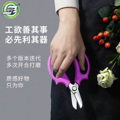 新款园艺剪刀修枝剪果树花艺花卉树枝专用园林花剪粗枝剪子省力工