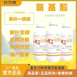 壮苗一喷绿快速氨基酸水溶肥料叶面肥绿叶绿肥有机农用枯黄通用型