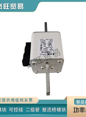 快速熔断器保险丝170M5807 5808 5809 5810 5811 5812