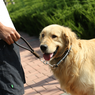 牵引绳 狗绳 大w型犬狗链 超短牛皮25厘米牵引带 德牧金毛萨摩