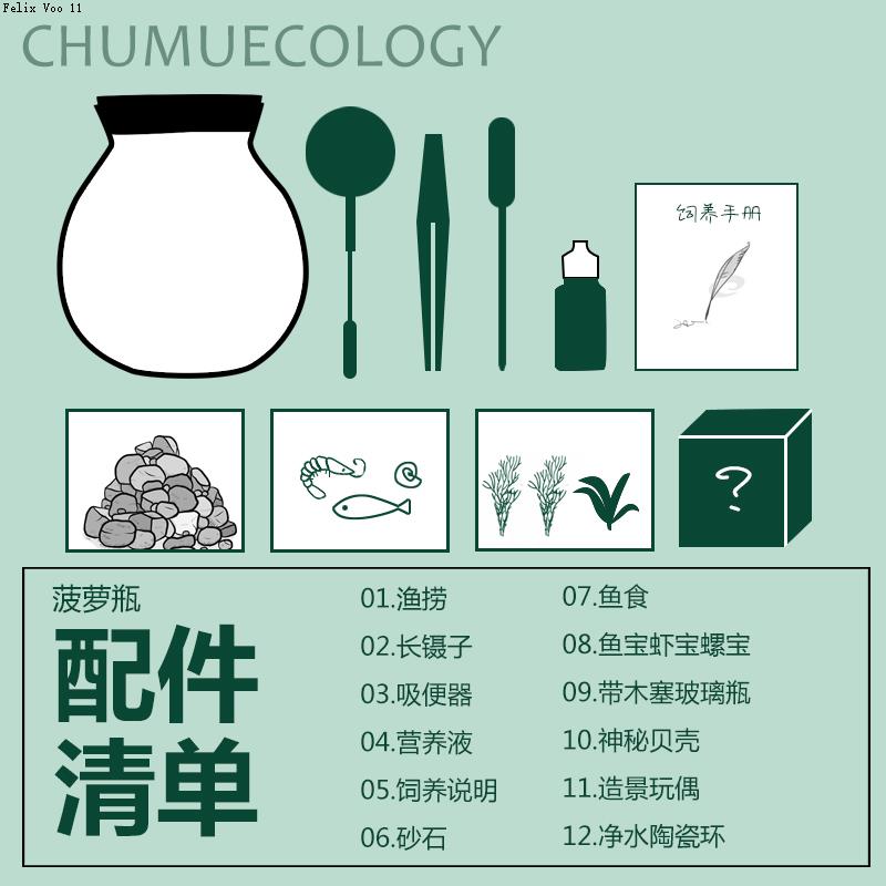 现货速发生态瓶观赏小鱼diy微景观免换水造景材料活动礼物水草斑