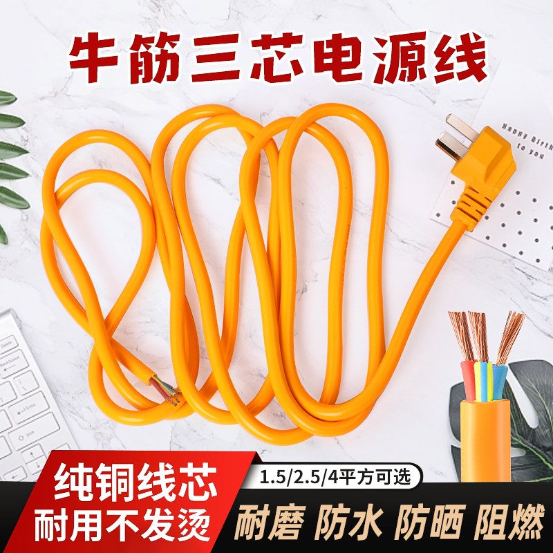 纯铜二芯三插头电源线带插头电动工具2芯3插头家用电器插头线排线
