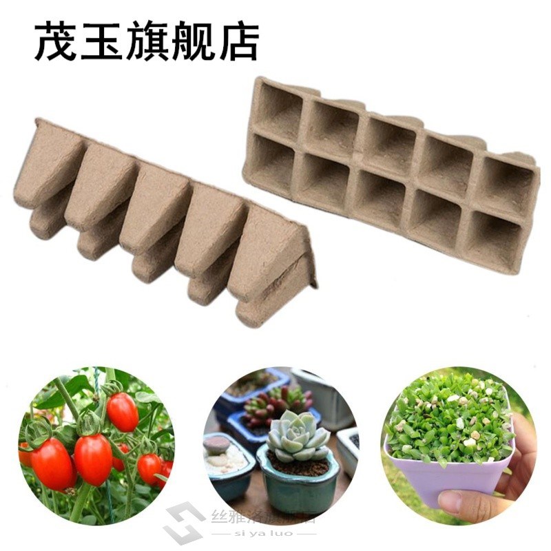 10pcs/set Plant Starter Tray Seedling Germination Home Garde